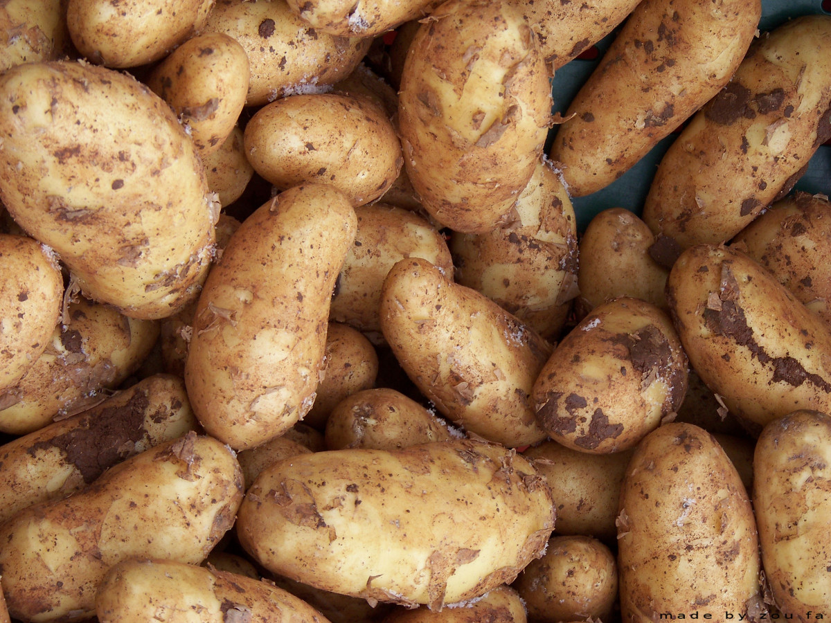 Why Potato Chips Are the World’s Favorite Snack
